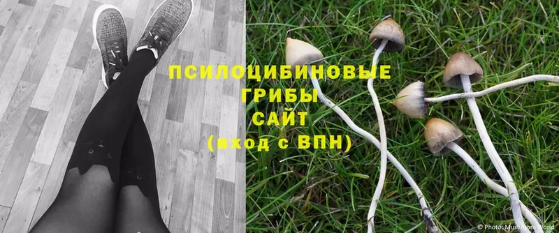 МЕГА зеркало  Канаш  Псилоцибиновые грибы Magic Shrooms 